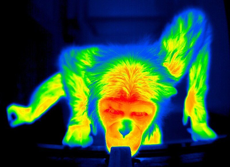what makes thermal imaging cameras useful