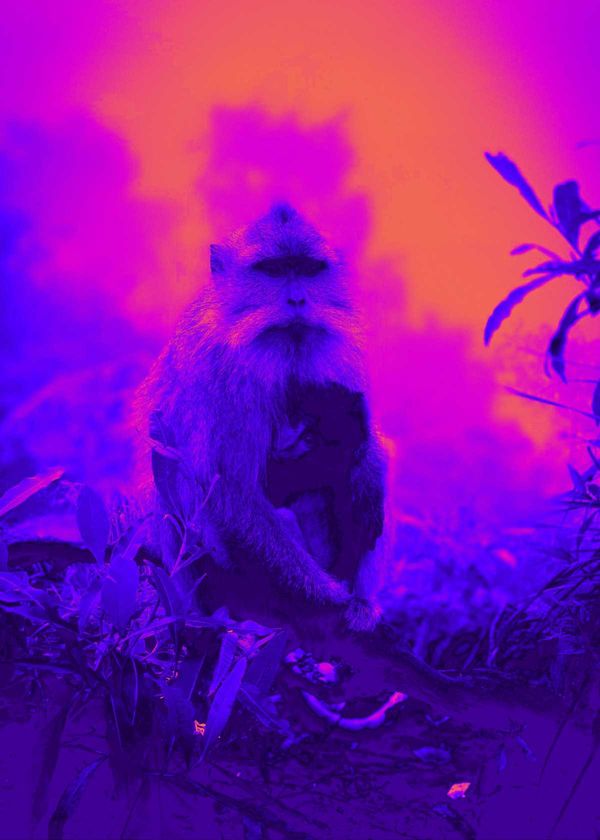 Cheap Thermal Camera