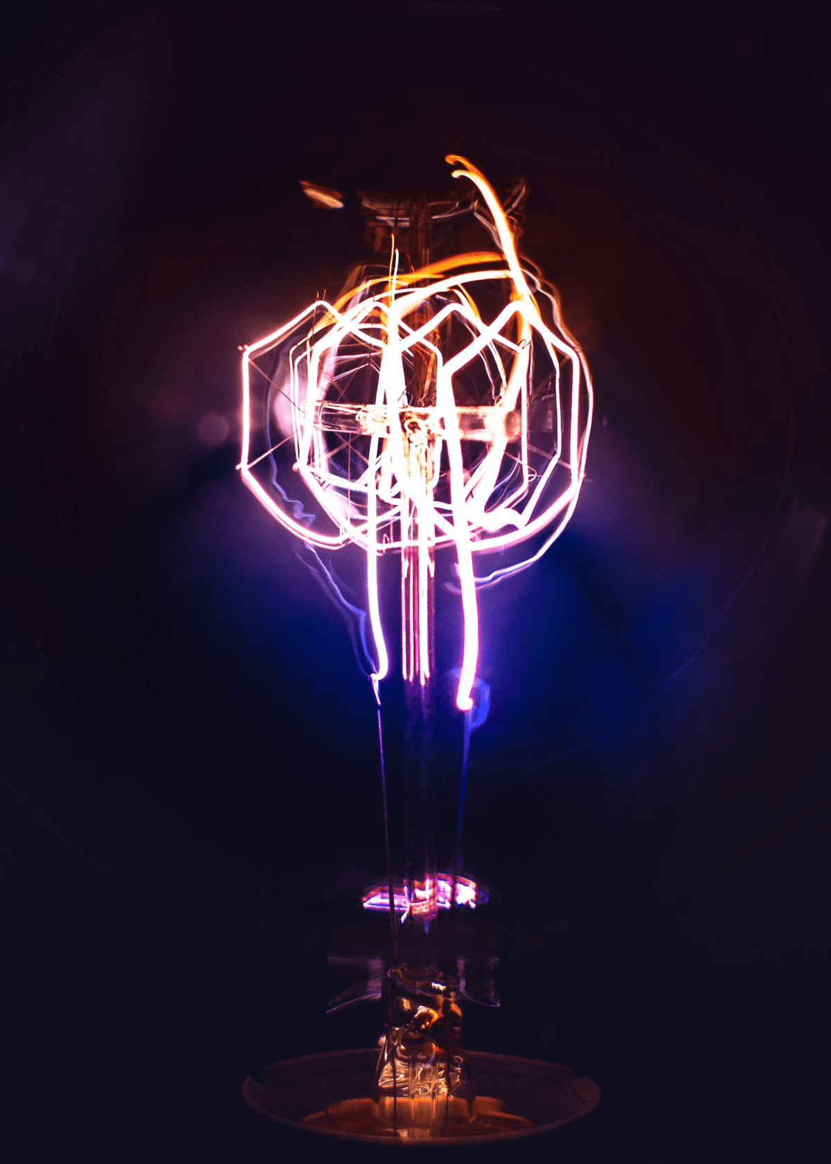 Why EVERY Household Needs A Bug Zapper Light Bulb