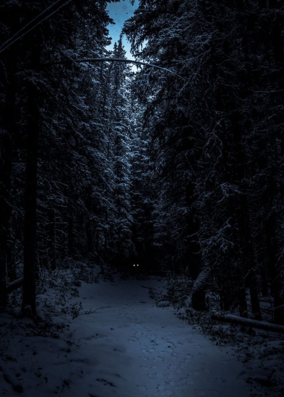 Are Night Vision Goggles Legal?