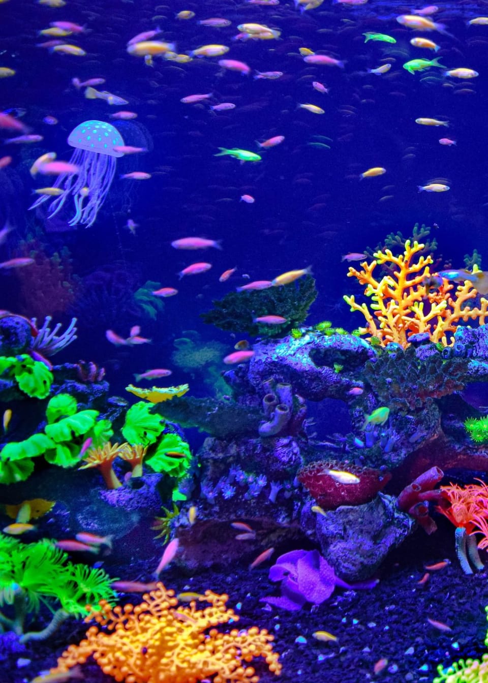 What Is The Best Action Camera Flashlight?