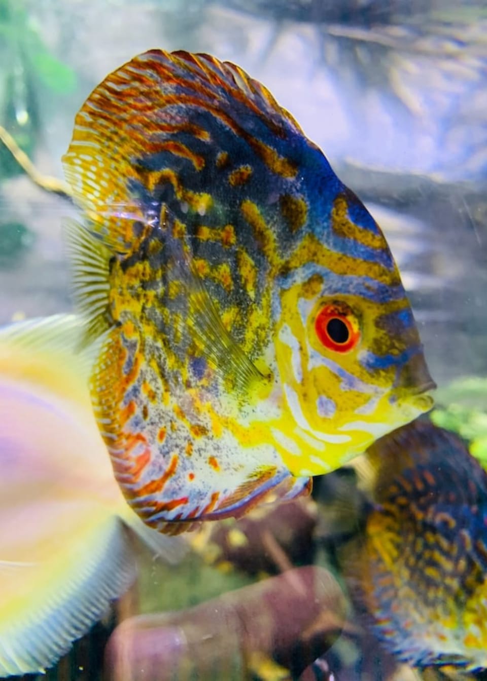 What Is The Best Kayak Fish Finder?