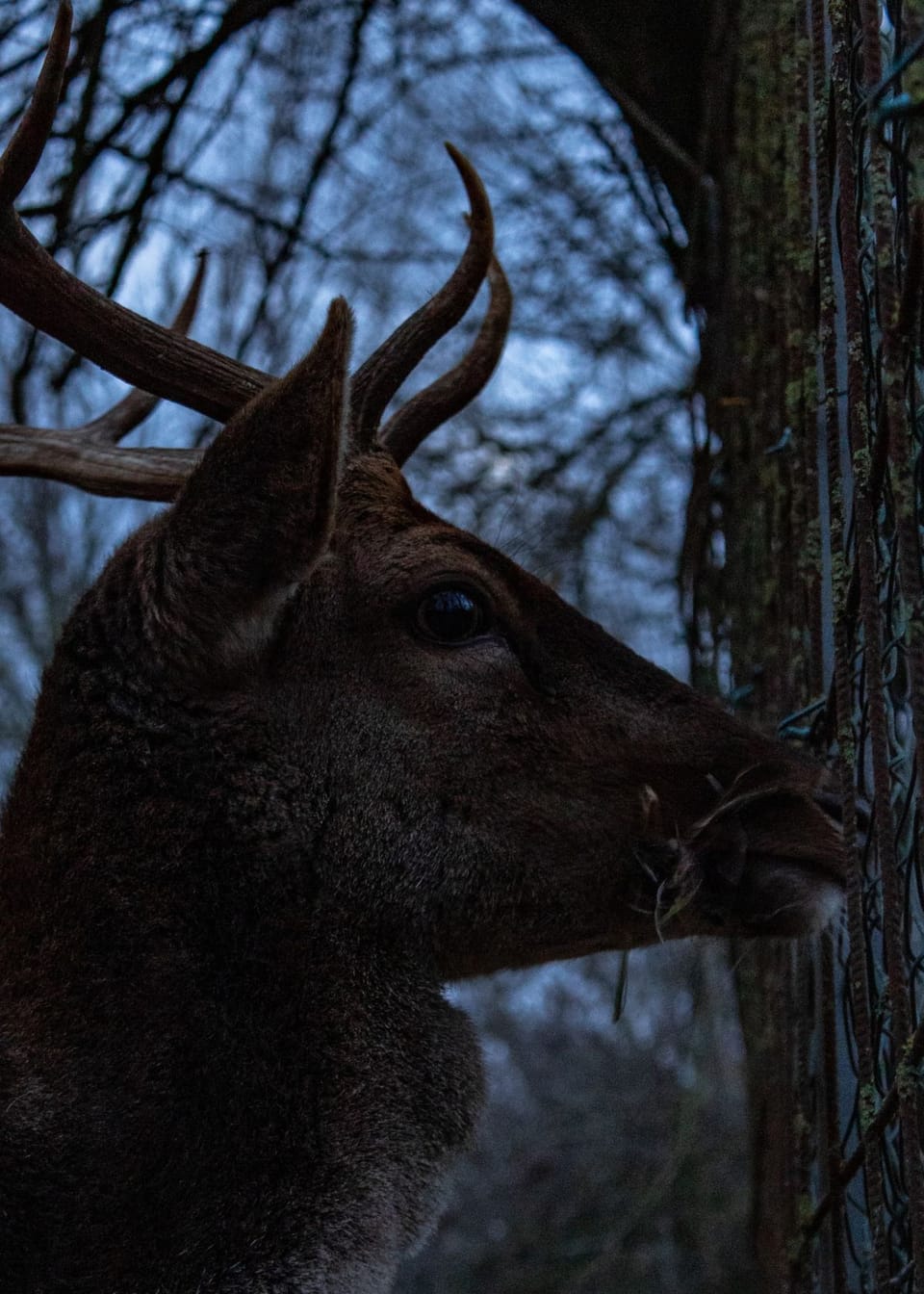 The Mind-Blowing Process: How Are Night Vision Goggles Made?