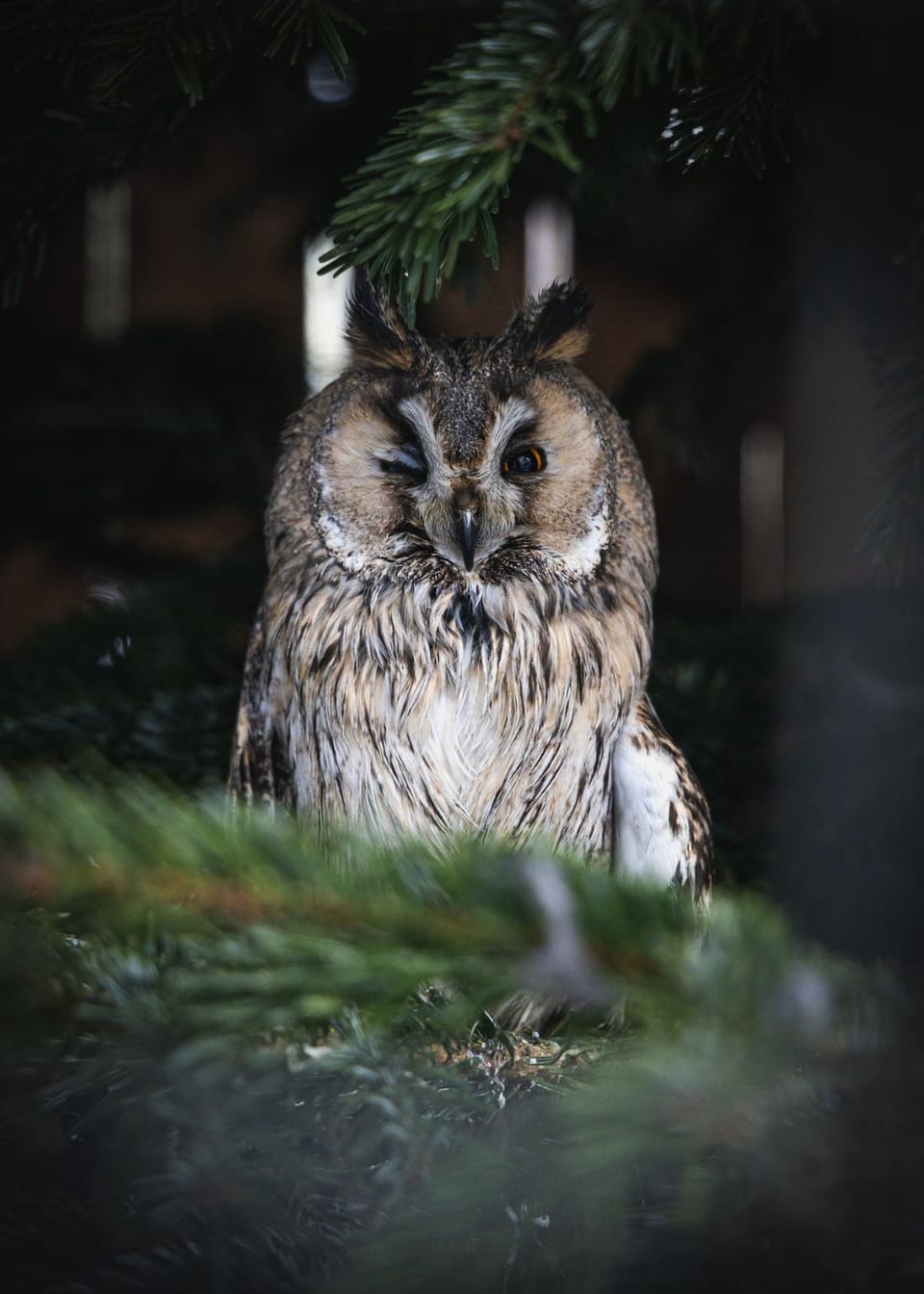 You Won't Believe It: How Do Night Vision Goggles Work? It's Not Magic!