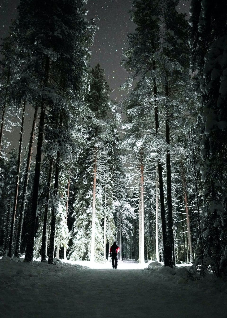 Outshine The Competition: What Is The Best Tactical Flashlight?