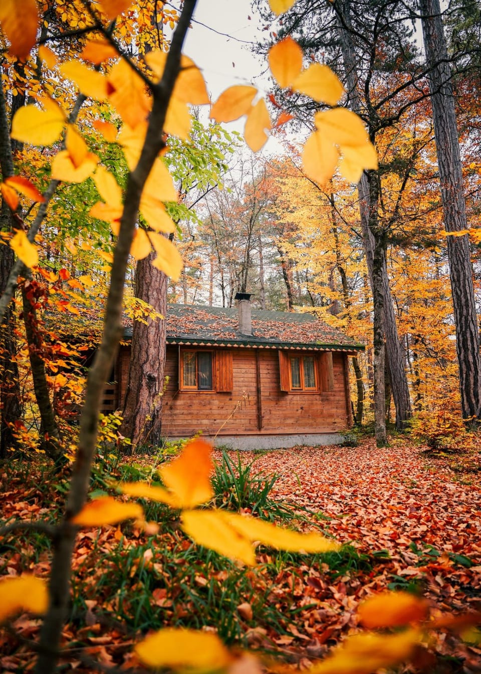 Hidden Protection: Using Trail Cameras For Security On Your Property